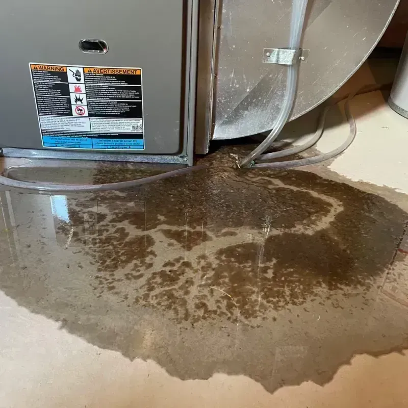 Appliance Leak Cleanup in Kildeer, IL